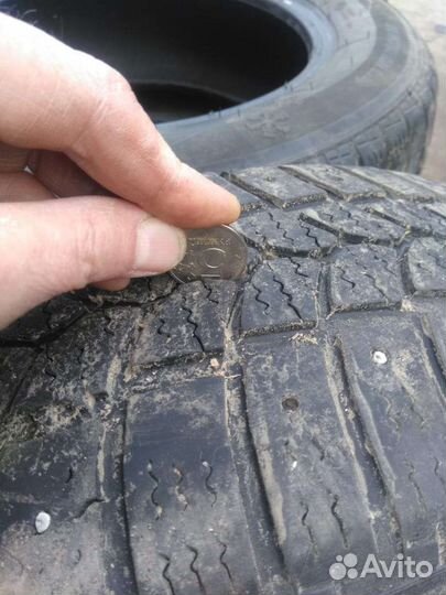 Tigar Sigura Stud 185/65 R15 92T