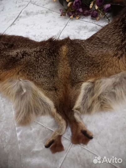 Воротник из лисы