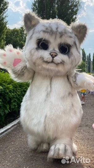 Праздники и мероприятия