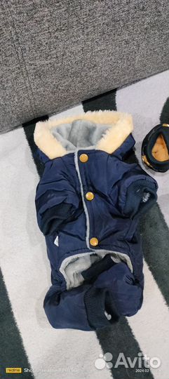 Зимний комбинезон для Чихуахуа