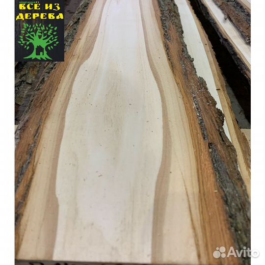 Слэб дерева липы