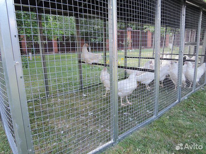 Выгул-клетка для птицы