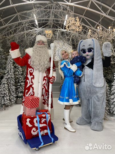 Дед Мороз и Снегурочка