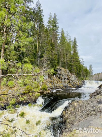 Индивидуальные туры по Карелии, Рыбалка, Охота