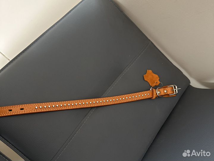 Ошейник и поводок для собаки новые