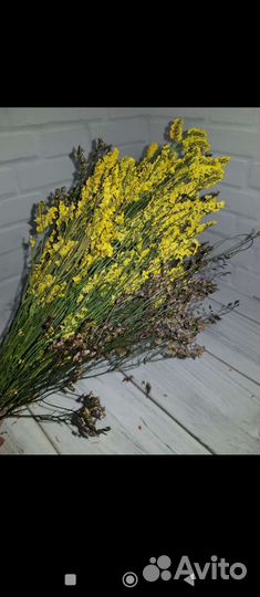 Лимониум стабилизированный