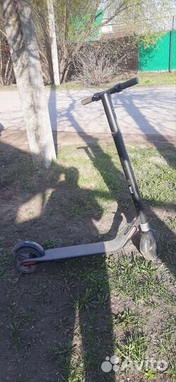 Электросамокат ninebot by segway