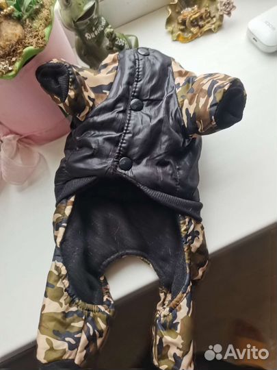 Вещи для маленькой собаки