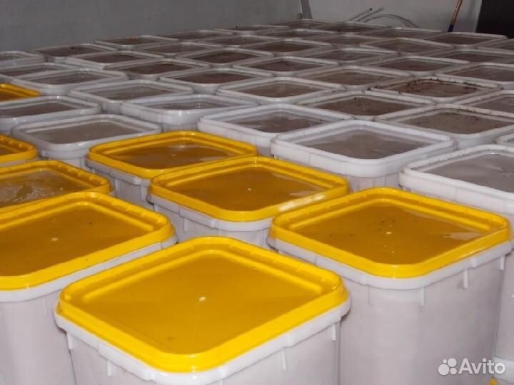 Продам мед оптом