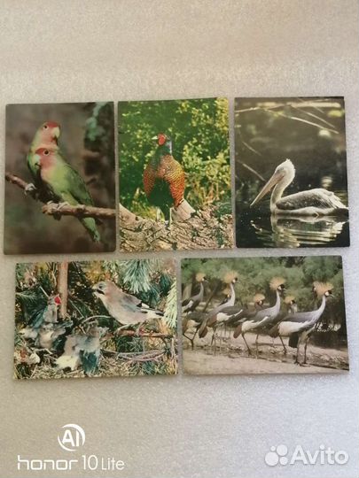 Открытки СССР, чистые, оригинал