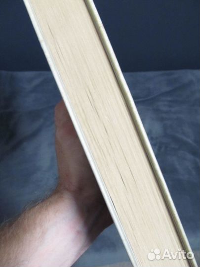 Князья Рос: Арийская кровь. К. Пензев