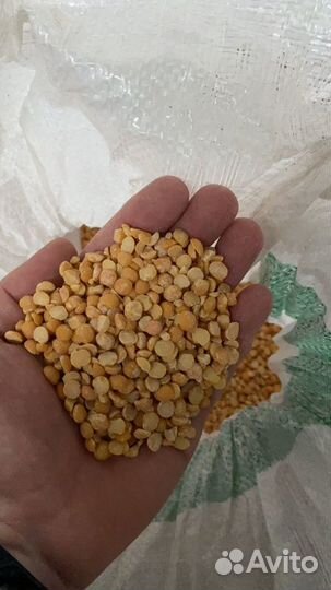 Некондиция колотый горох