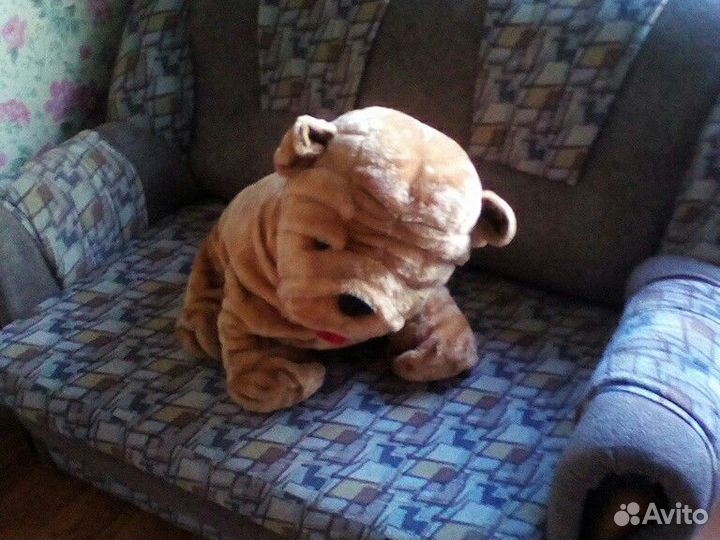 Большой пес