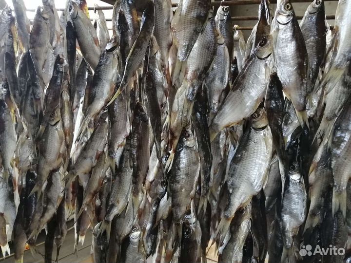 Тарань жирная вяленая