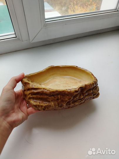 Тарелка или купальня для рептилий