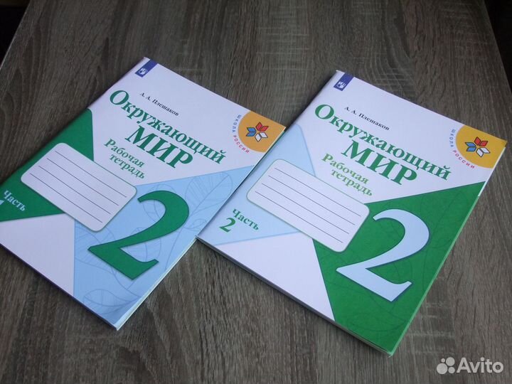 Плешаков Окружающий мир 2 класс Рабочая тетрадь