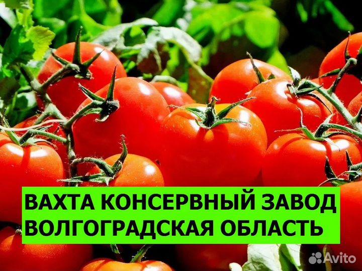 Разнорабочий вахта Волгоградская область 18+