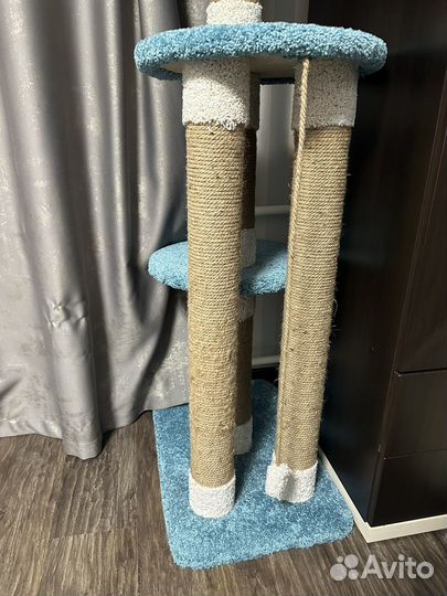 Когтеточка