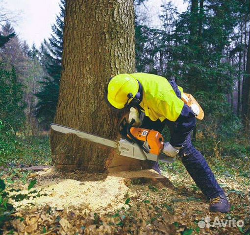 Спил деревьев/Покос травы/Расчистка участков