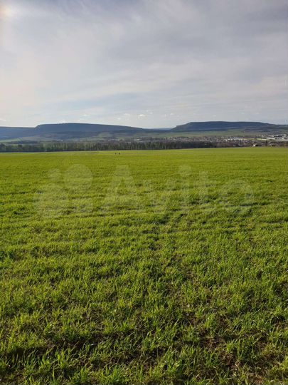 Участок 3,77 га (СНТ, ДНП)