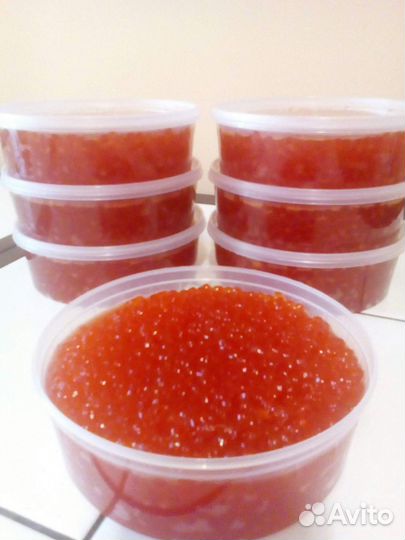 Дальневосточная Устрица, Камчатский краб, Гребешок