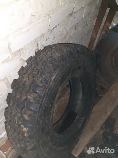 ЯШЗ Я-248 175/70 R13