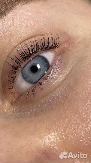 Ламинирование ресниц, оформление бровей