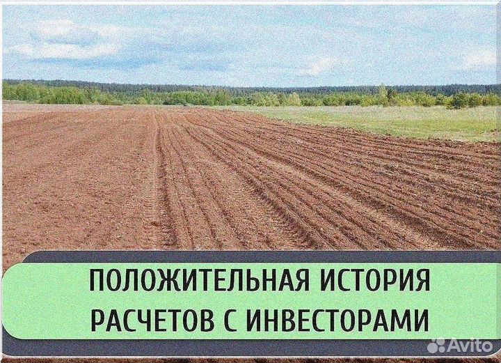 Ищу инвестора в сх. Доход до 50%