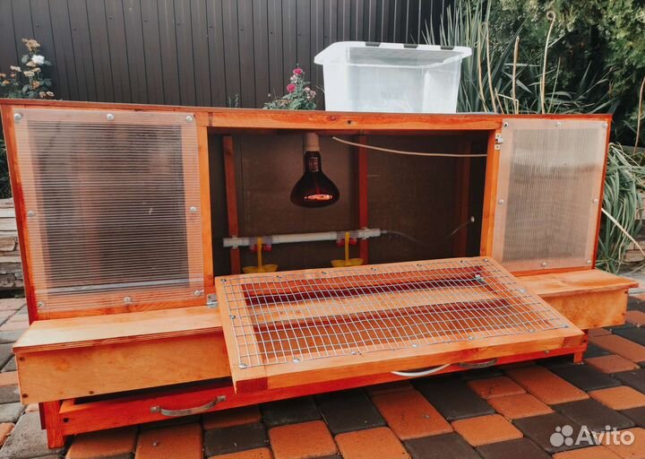 Брудер для цыплят