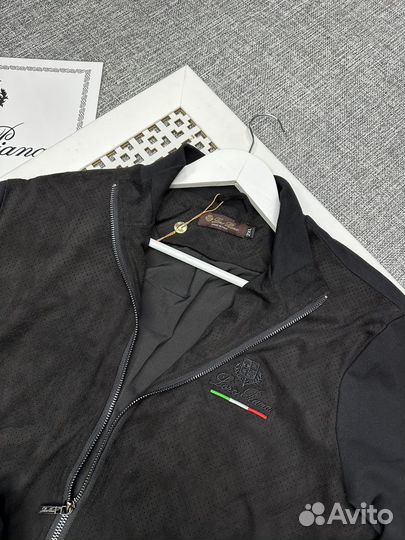 Мужская спортивный костюм Loro piana