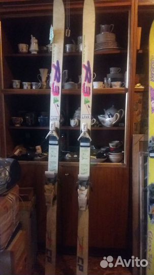 Горные лыжи