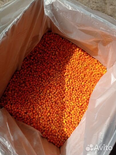 Облепиха замороженная (новый урожай)