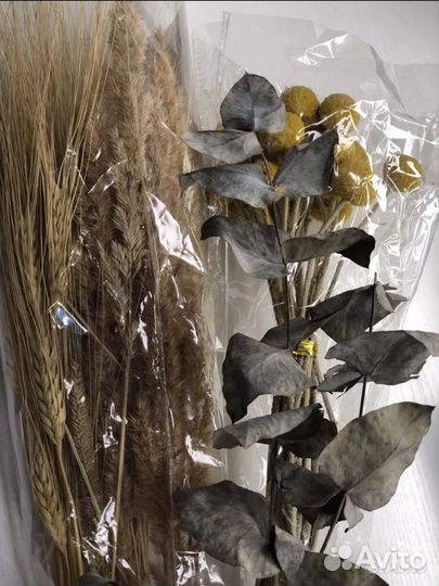 Сухоцветы для творчества