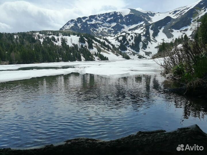 Трансфер, Авто экскурсии, Отдых