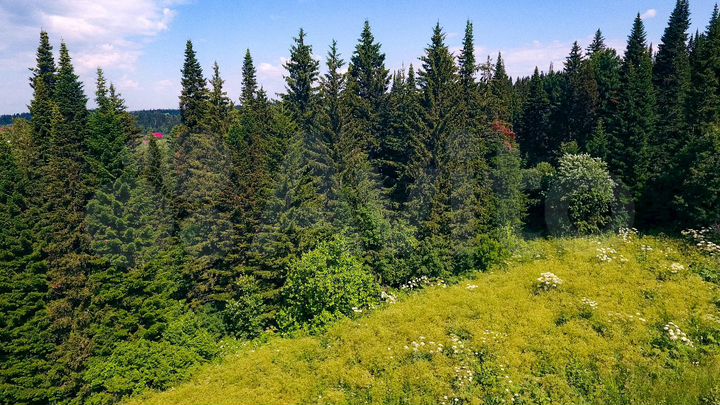 Участок 1,63 га (СНТ, ДНП)