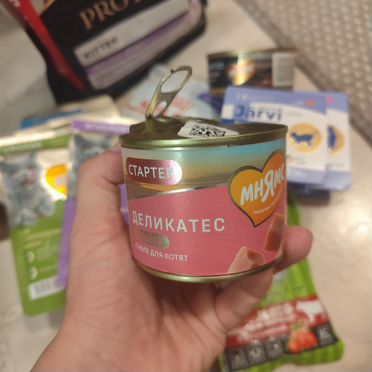 Корм для кошек и котят и наполнитель для туалета
