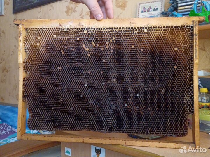 Рамки с вощиной