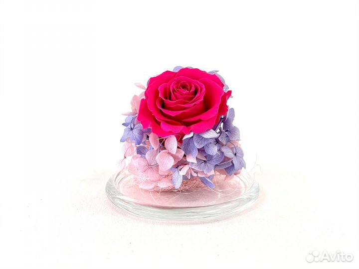 Композиция в лимоннице Стабилизированные цветы