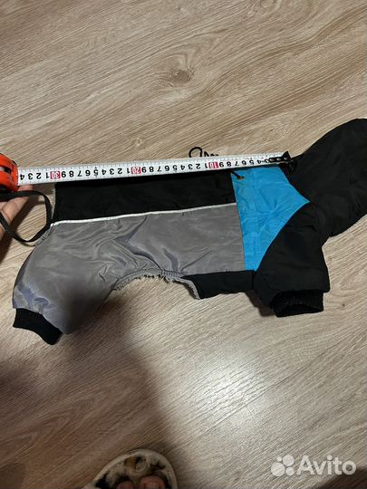 Одежда для собак