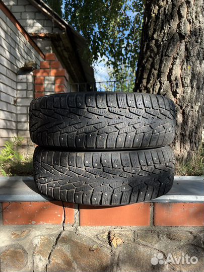 Nokian Tyres Nordman 7 175/65 R14 86