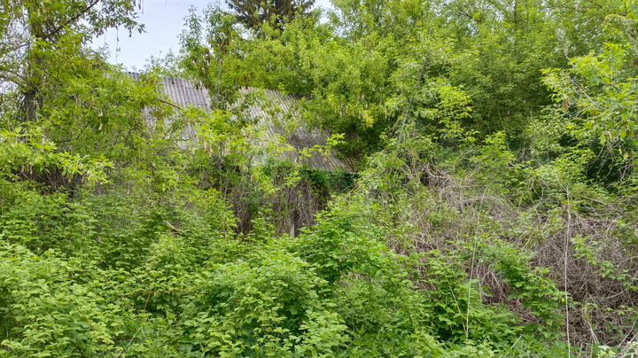 Участок 50 сот. (ИЖС)