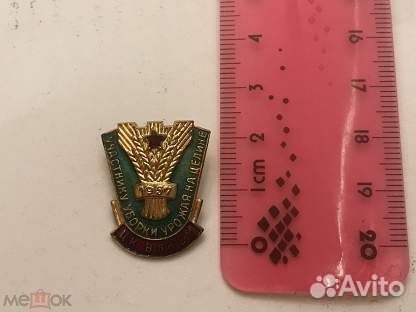 Участник уборки целины. 1957 год.Оригинал