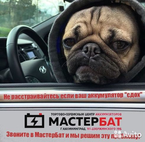 Baren BLU polar 60Ah