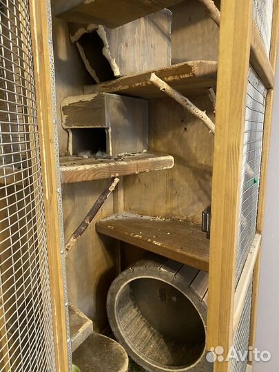 Витрина для шиншилл бу