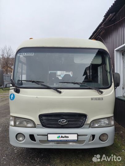Междугородний / Пригородный автобус Hyundai County, 2007
