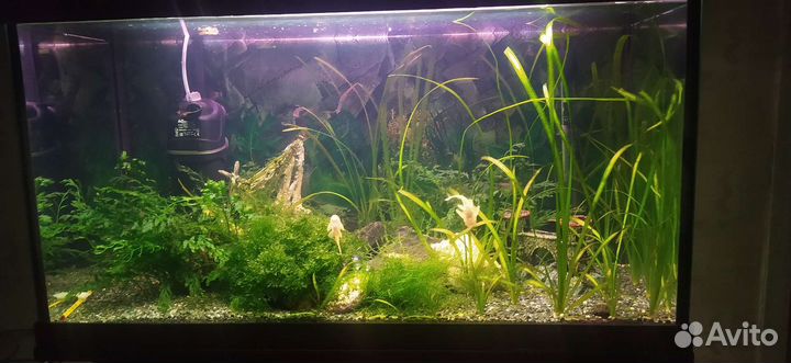 Аквариум с тумбой