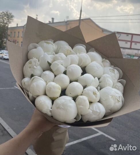 Цветы Букеты Пионы 11 15 21 25 31 35 51