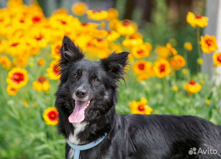 Малыш в беде