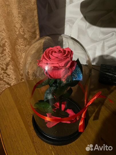 Настоящая роза в колбе