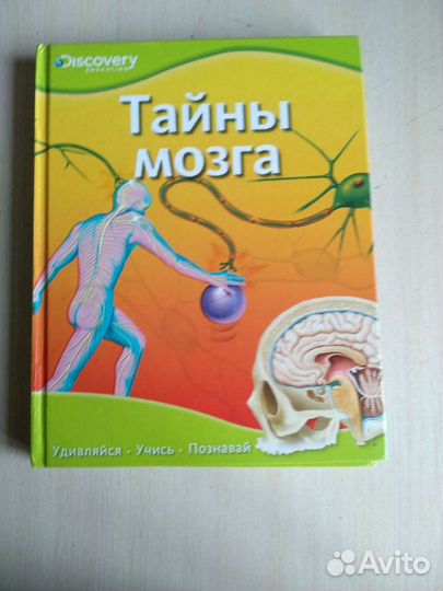 Энциклопедия